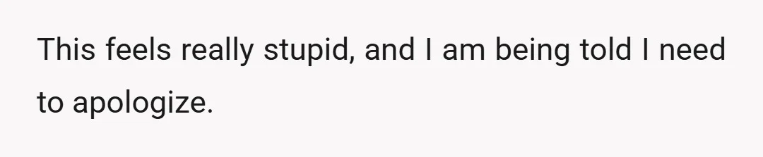 This feels really stupid, and I am being told I need to apologize.