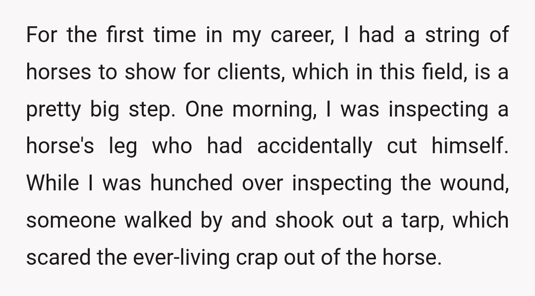 For the first time in my career, I had a string of horses to show for clients, which in this field, is a pretty big step. One morning, I was...
