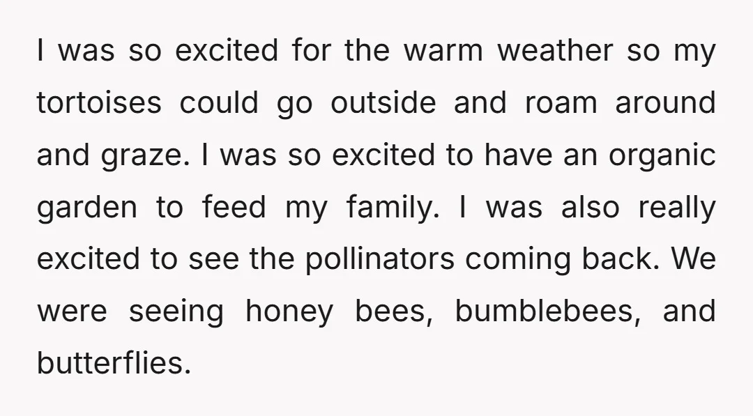 I was so excited for the warm weather so my tortoises could go outside and roam around and graze. I was so excited to have an organic garden to feed...