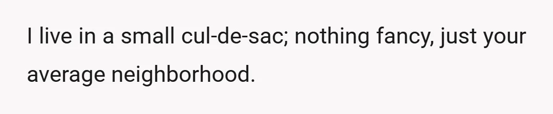 I live in a small cul-de-sac; nothing fancy, just your average neighborhood.