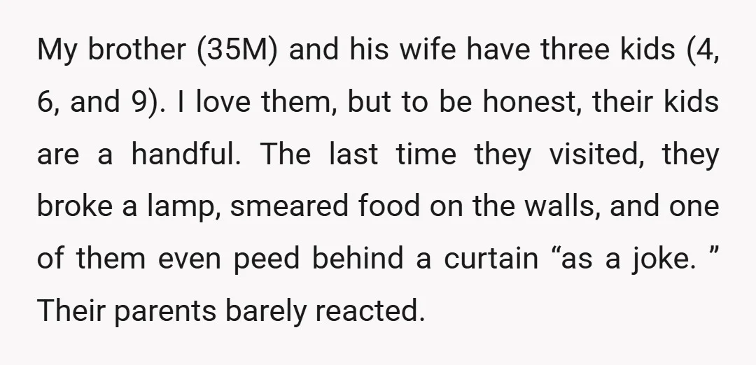 My brother (35M) and his wife have three kids (4, 6, and 9). I love them, but to be honest, their kids are a handful. The last time they visited,...