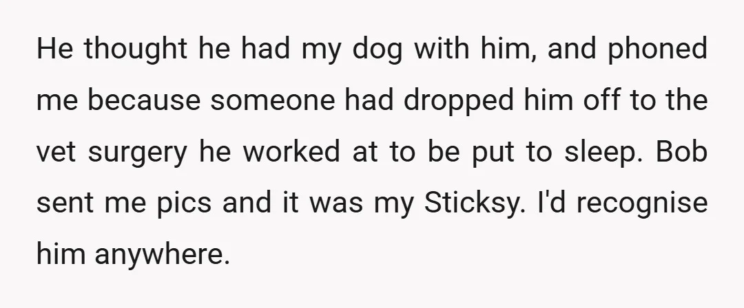 He thought he had my dog with him, and phoned me because someone had dropped him off to the vet surgery he worked at to be put to sleep. Bob...