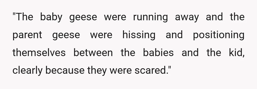 "The baby geese were running away and the parent geese were hissing and positioning themselves between the babies and the kid, clearly because they were scared."