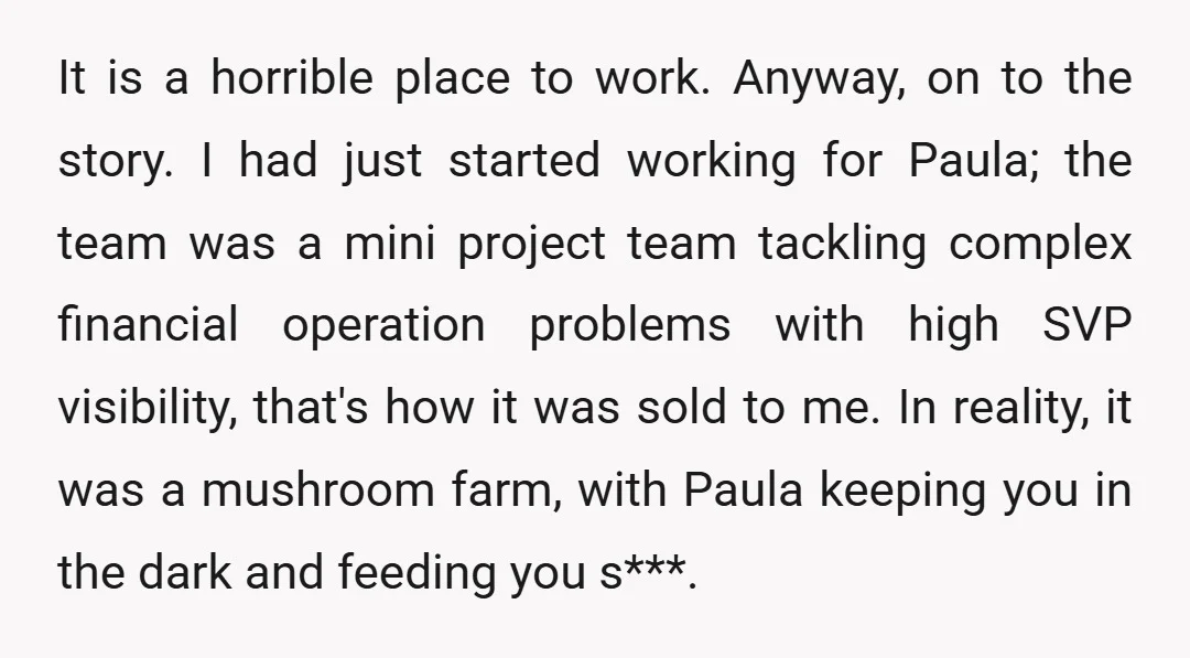 It is a horrible place to work. Anyway, on to the story. I had just started working for Paula; the team was a mini project team tackling complex financial operation...