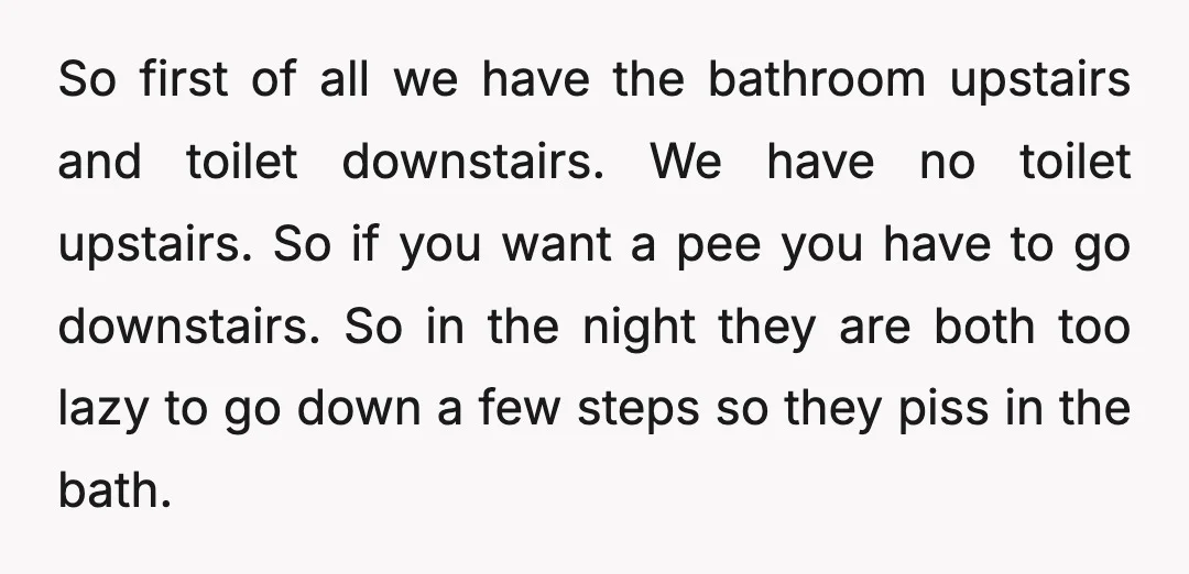 So first of all we have the bathroom upstairs and toilet downstairs. We have no toilet upstairs. So if you want a pee you have to go downstairs. So in...
