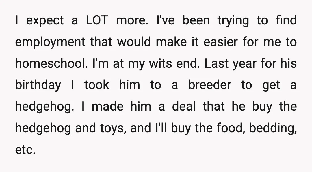 I expect a LOT more. I've been trying to find employment that would make it easier for me to homeschool. I'm at my wits end. Last year for his birthday...