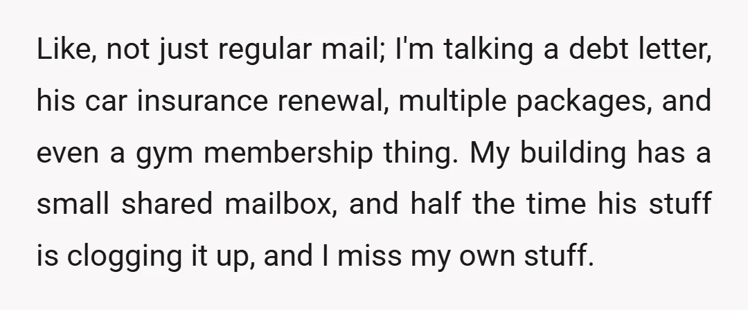 Like, not just regular mail; I'm talking a debt letter, his car insurance renewal, multiple packages, and even a gym membership thing. My building has a small shared mailbox, and...
