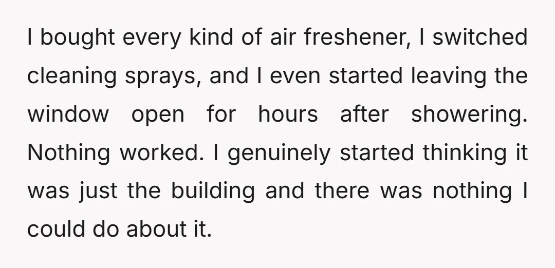 I bought every kind of air freshener, I switched cleaning sprays, and I even started leaving the window open for hours after showering. Nothing worked. I genuinely started thinking it...
