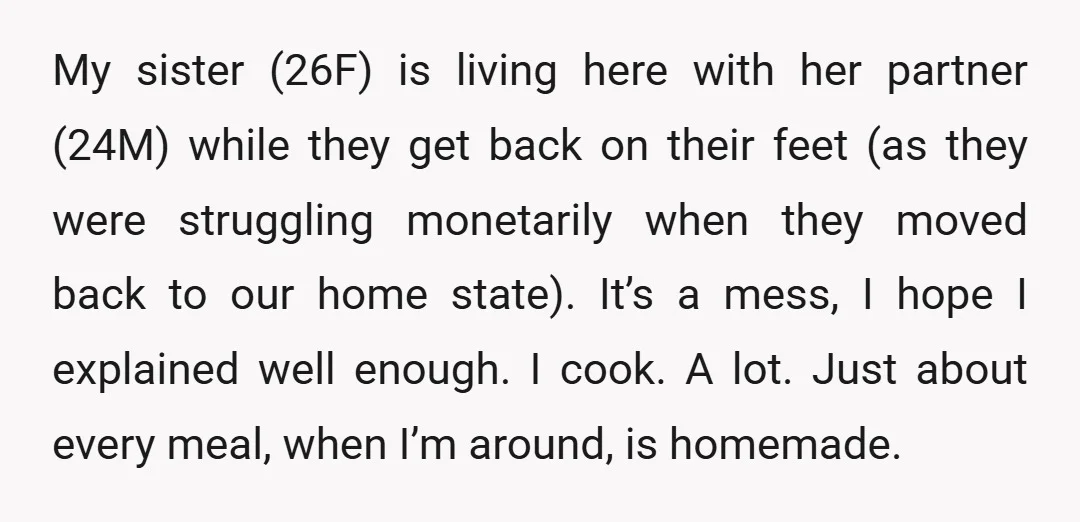 My sister (26F) is living here with her partner (24M) while they get back on their feet (as they were struggling monetarily when they moved back to our home state)....