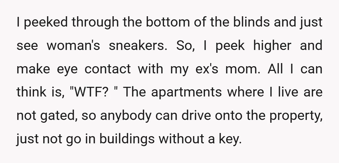 I peeked through the bottom of the blinds and just see woman's sneakers. So, I peek higher and make eye contact with my ex's mom. All I can think is,...