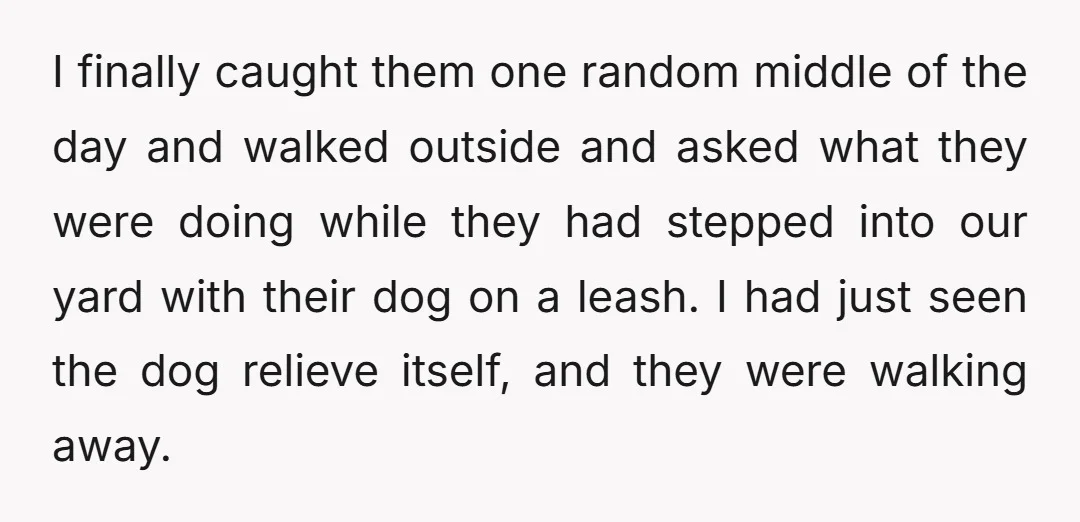 I finally caught them one random middle of the day and walked outside and asked what they were doing while they had stepped into our yard with their dog on...
