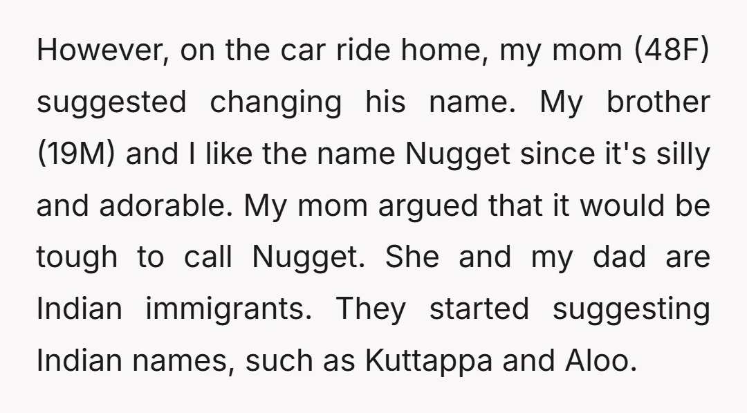 However, on the car ride home, my mom (48F) suggested changing his name. My brother (19M) and I like the name Nugget since it's silly and adorable. My mom argued...