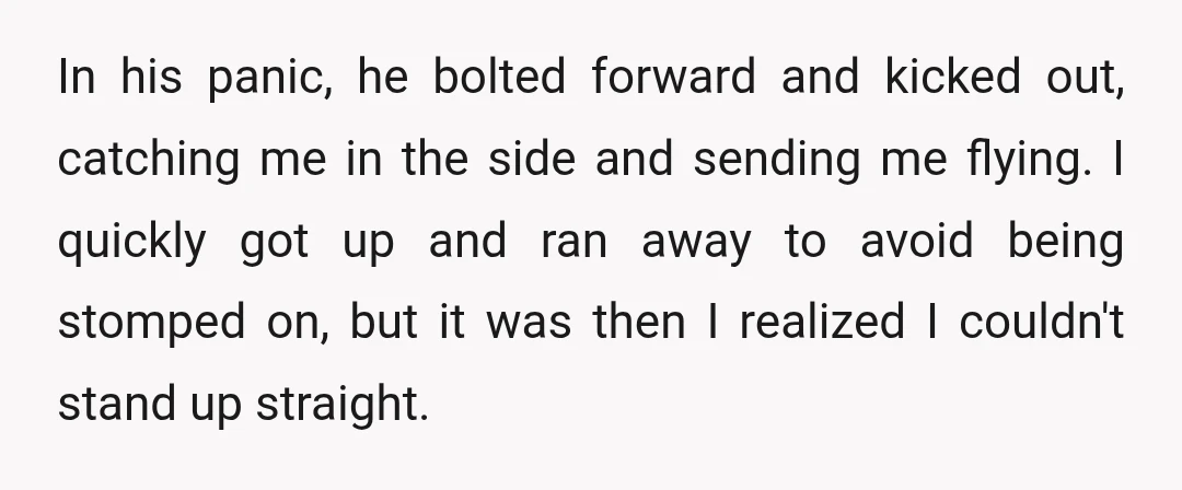 In his panic, he bolted forward and kicked out, catching me in the side and sending me flying. I quickly got up and ran away to avoid being stomped on,...