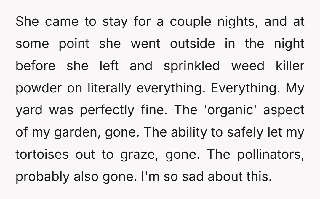 She came to stay for a couple nights, and at some point she went outside in the night before she left and sprinkled weed killer powder on literally everything. Everything....
