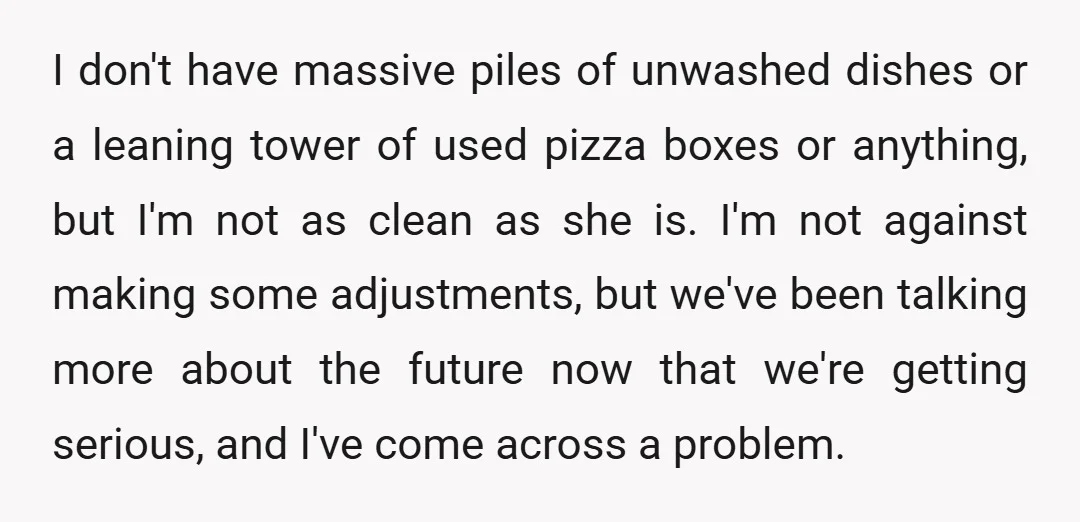I don't have massive piles of unwashed dishes or a leaning tower of used pizza boxes or anything, but I'm not as clean as she is. I'm not against making...