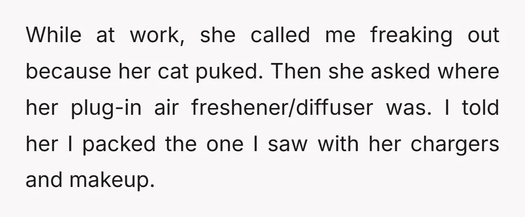 While at work, she called me freaking out because her cat puked. Then she asked where her plug-in air freshener/diffuser was. I told her I packed the one I saw...