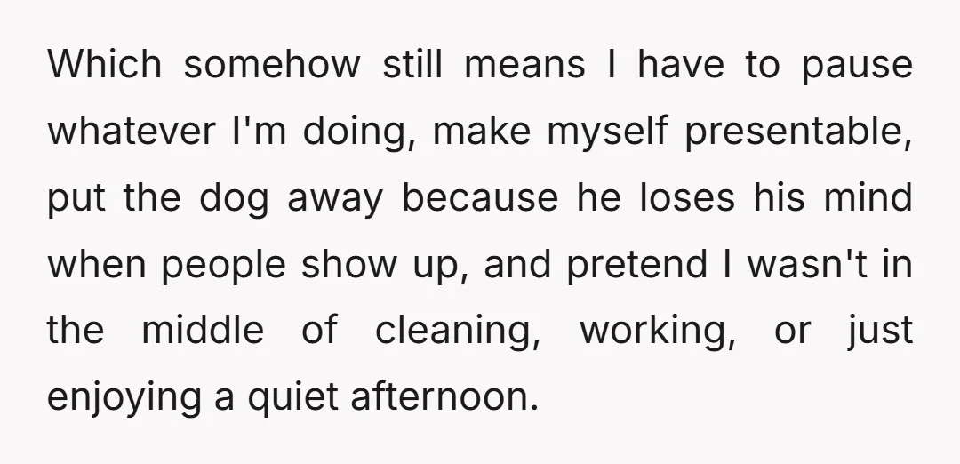 Which somehow still means I have to pause whatever I'm doing, make myself presentable, put the dog away because he loses his mind when people show up, and pretend I...