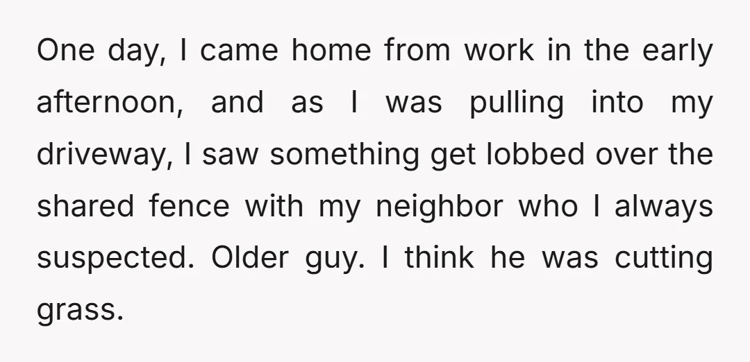 One day, I came home from work in the early afternoon, and as I was pulling into my driveway, I saw something get lobbed over the shared fence with my...
