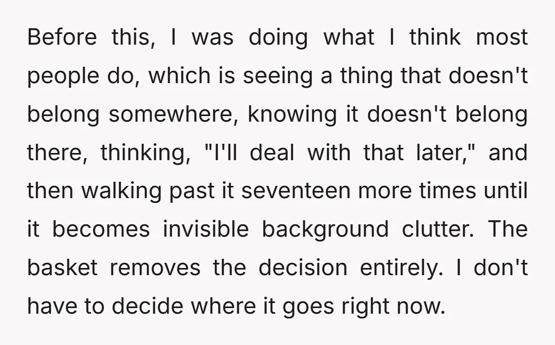 Before this, I was doing what I think most people do, which is seeing a thing that doesn't belong somewhere, knowing it doesn't belong there, thinking, "I'll deal with that...