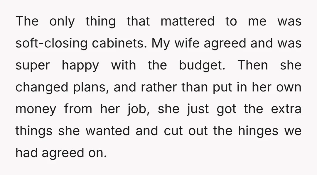 The only thing that mattered to me was soft-closing cabinets. My wife agreed and was super happy with the budget. Then she changed plans, and rather than put in her...