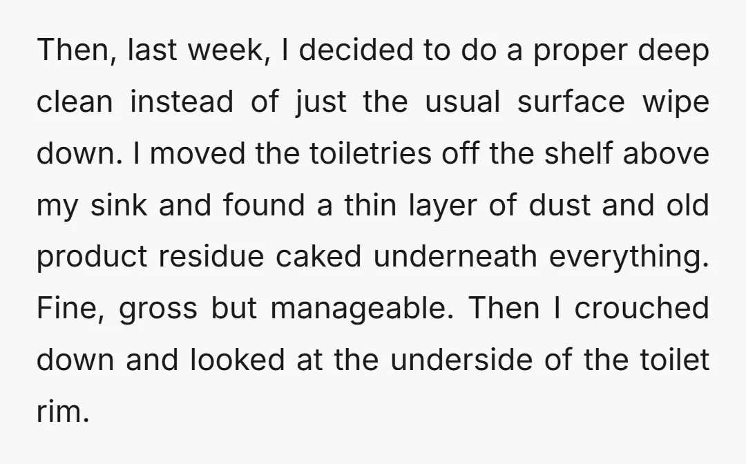 Then, last week, I decided to do a proper deep clean instead of just the usual surface wipe down. I moved the toiletries off the shelf above my sink and...
