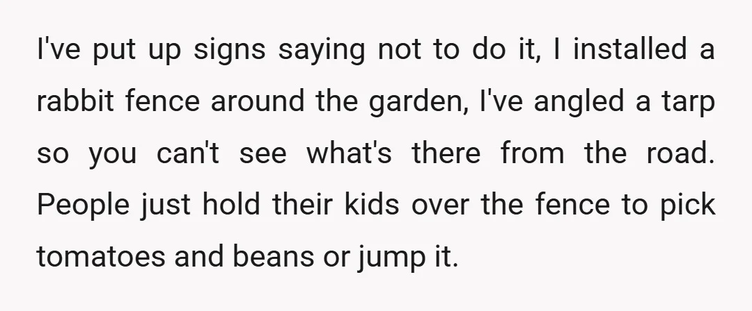 I've put up signs saying not to do it, I installed a rabbit fence around the garden, I've angled a tarp so you can't see what's there from the road....