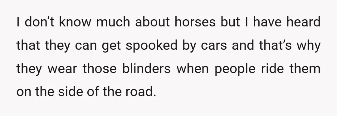 I don’t know much about horses but I have heard that they can get spooked by cars and that’s why they wear those blinders when people ride them on the...