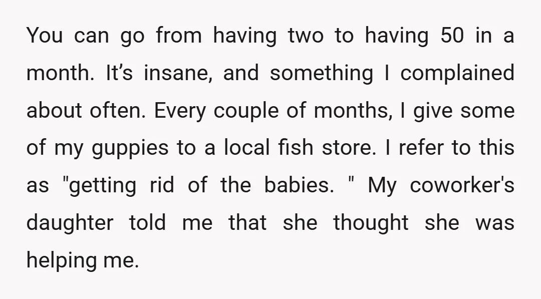 You can go from having two to having 50 in a month. It’s insane, and something I complained about often. Every couple of months, I give some of my guppies...