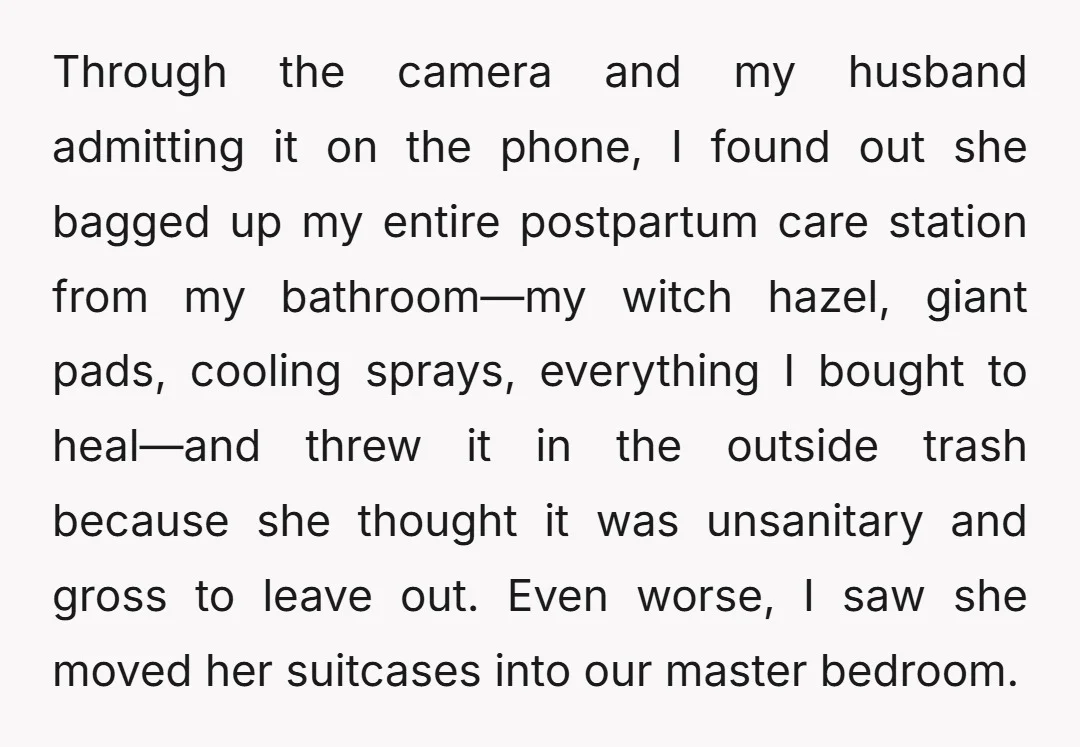 Through the camera and my husband admitting it on the phone, I found out she bagged up my entire postpartum care station from my bathroom—my witch hazel, giant pads, cooling...
