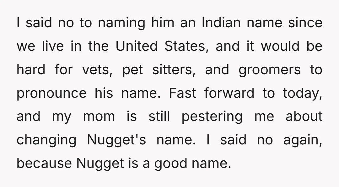 I said no to naming him an Indian name since we live in the United States, and it would be hard for vets, pet sitters, and groomers to pronounce his...