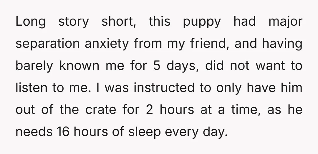 Long story short, this puppy had major separation anxiety from my friend, and having barely known me for 5 days, did not want to listen to me. I was instructed...