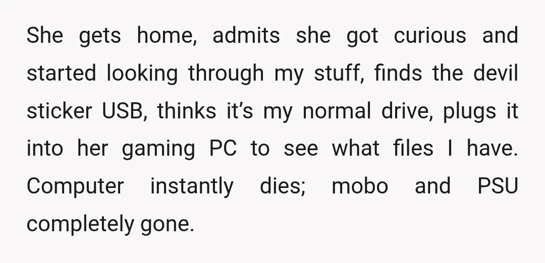 She gets home, admits she got curious and started looking through my stuff, finds the devil sticker USB, thinks it’s my normal drive, plugs it into her gaming PC to...