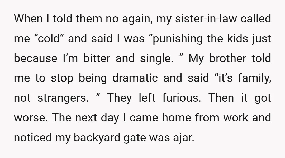 When I told them no again, my sister-in-law called me “cold” and said I was “punishing the kids just because I’m bitter and single. ” My brother told me to...