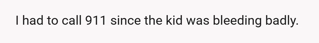 I had to call 911 since the kid was bleeding badly.