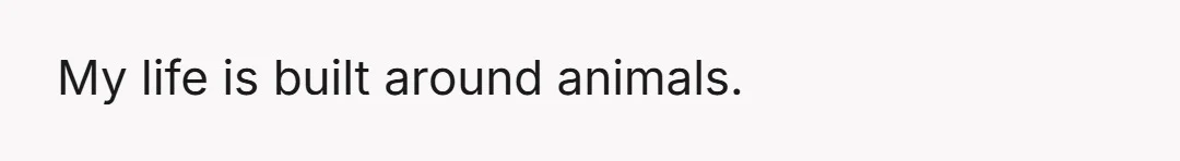 My life is built around animals.