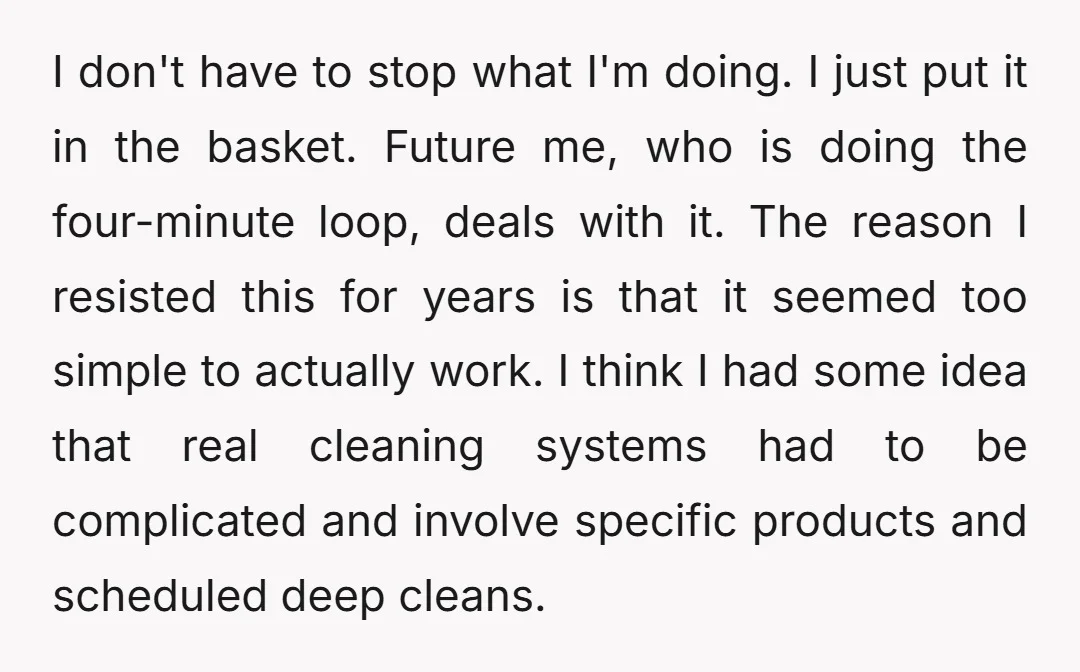 I don't have to stop what I'm doing. I just put it in the basket. Future me, who is doing the four-minute loop, deals with it. The reason I resisted...