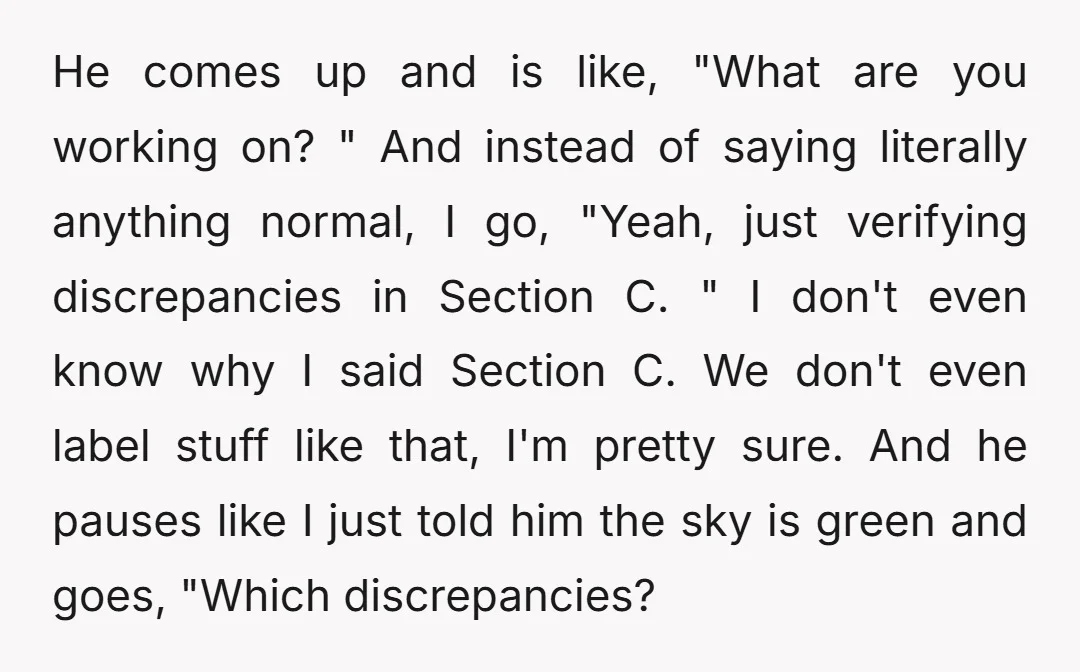 He comes up and is like, "What are you working on? " And instead of saying literally anything normal, I go, "Yeah, just verifying discrepancies in Section C. " I...