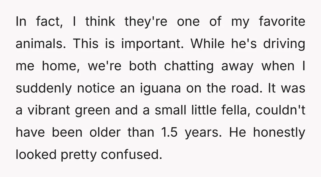In fact, I think they're one of my favorite animals. This is important. While he's driving me home, we're both chatting away when I suddenly notice an iguana on the...
