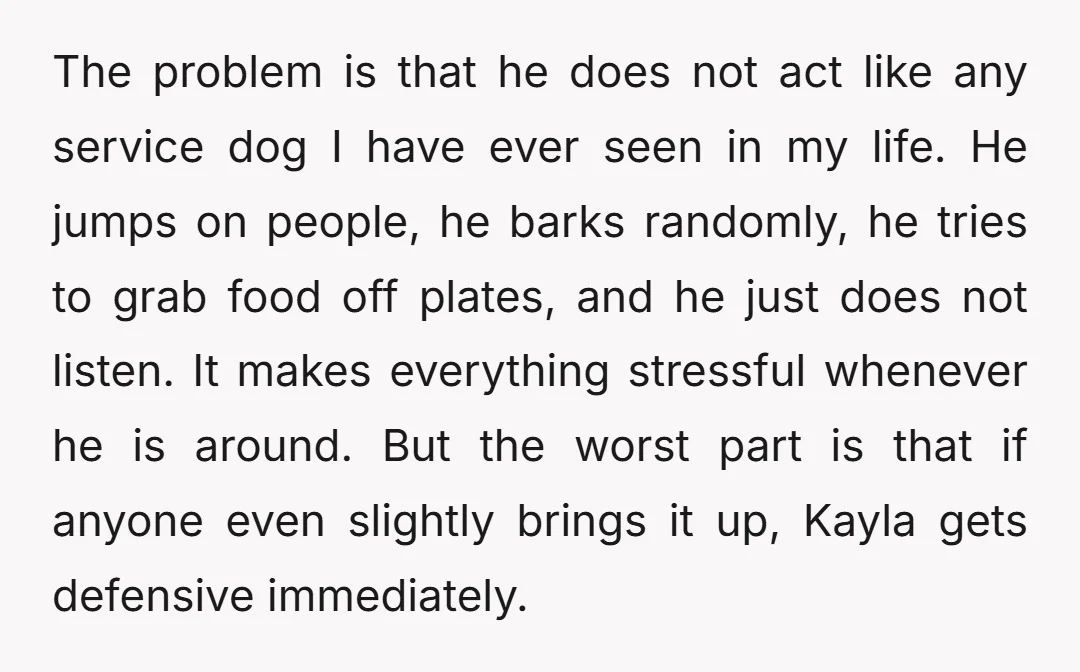 The problem is that he does not act like any service dog I have ever seen in my life. He jumps on people, he barks randomly, he tries to grab...