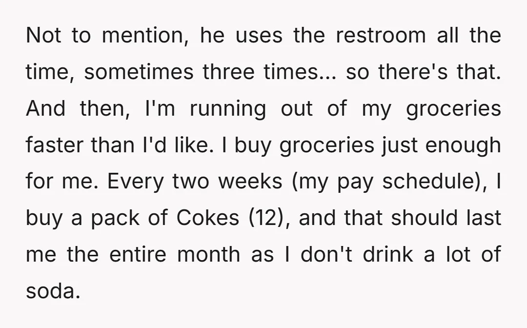Not to mention, he uses the restroom all the time, sometimes three times... so there's that. And then, I'm running out of my groceries faster than I'd like. I buy...