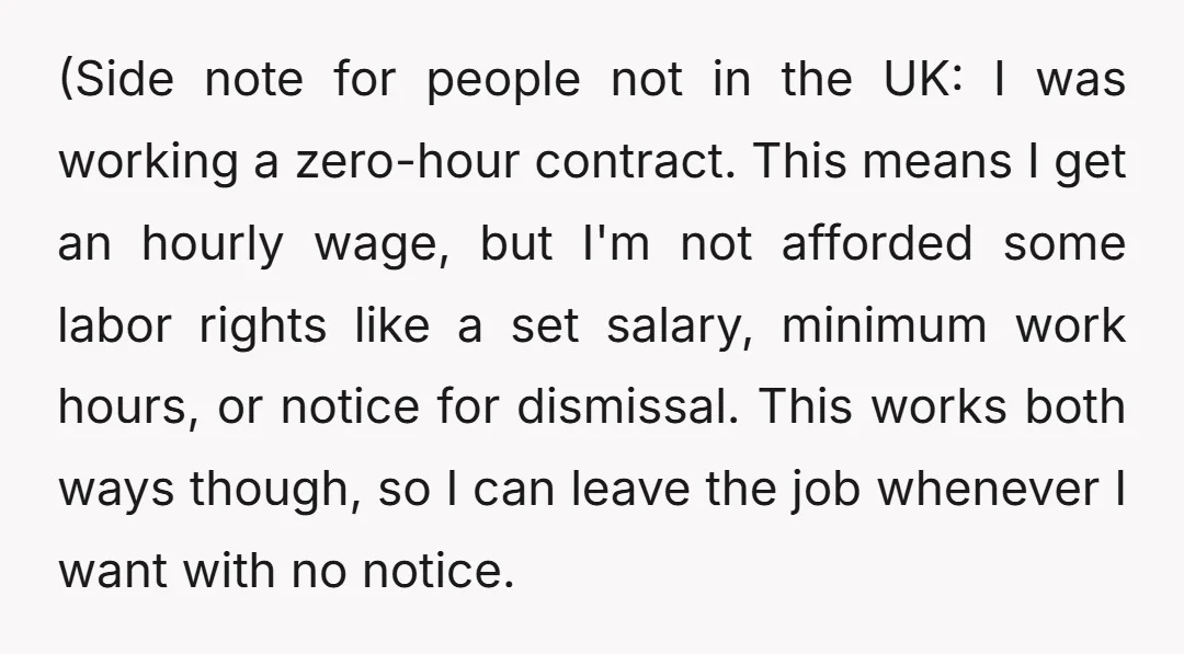 (Side note for people not in the UK: I was working a zero-hour contract. This means I get an hourly wage, but I'm not afforded some labor rights like a...