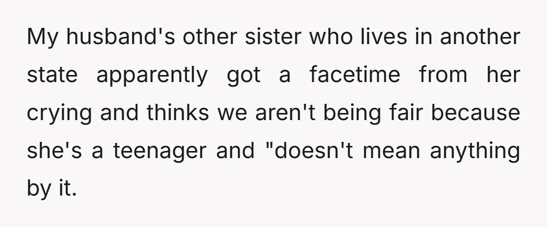 My husband's other sister who lives in another state apparently got a facetime from her crying and thinks we aren't being fair because she's a teenager and "doesn't mean anything...