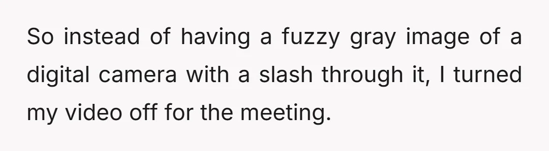 So instead of having a fuzzy gray image of a digital camera with a slash through it, I turned my video off for the meeting.