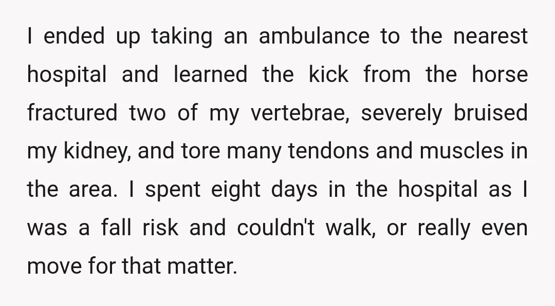 I ended up taking an ambulance to the nearest hospital and learned the kick from the horse fractured two of my vertebrae, severely bruised my kidney, and tore many tendons...