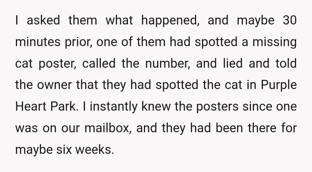 I asked them what happened, and maybe 30 minutes prior, one of them had spotted a missing cat poster, called the number, and lied and told the owner that they...