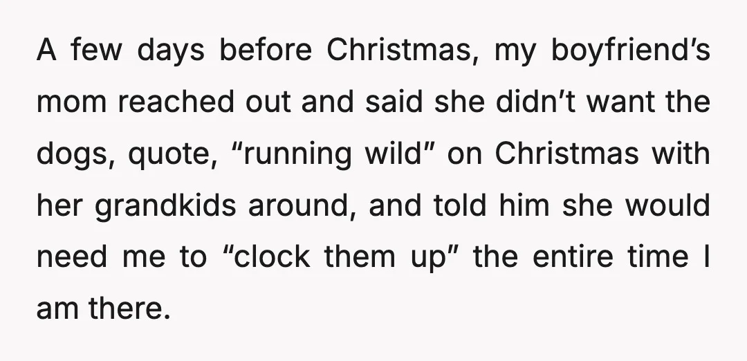 A few days before Christmas, my boyfriend’s mom reached out and said she didn’t want the dogs, quote, “running wild” on Christmas with her grandkids around, and told him she...