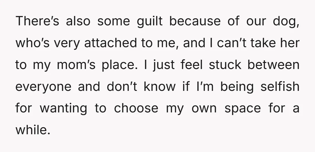 There’s also some guilt because of our dog, who’s very attached to me, and I can’t take her to my mom’s place. I just feel stuck between everyone and don’t...