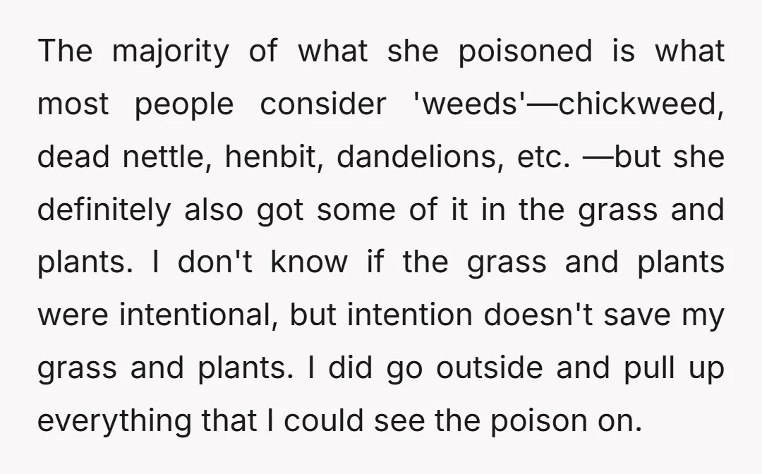 The majority of what she poisoned is what most people consider 'weeds'—chickweed, dead nettle, henbit, dandelions, etc. —but she definitely also got some of it in the grass and plants....