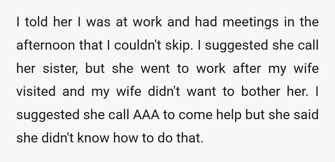 I told her I was at work and had meetings in the afternoon that I couldn't skip. I suggested she call her sister, but she went to work after my...