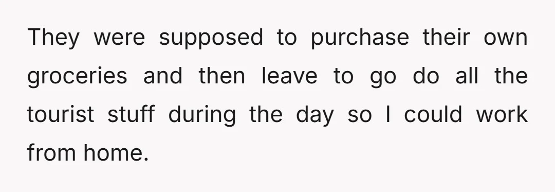 They were supposed to purchase their own groceries and then leave to go do all the tourist stuff during the day so I could work from home.